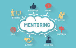 mentorship programmes