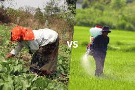 organic farmers