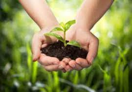 organic farming