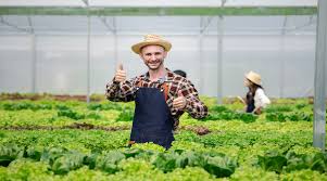 sustainable and eco friendly farming practices
