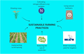 environmentally friendly farming