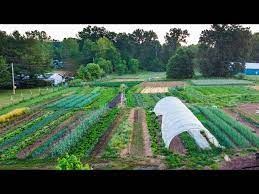 farm