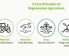 regenerative farming