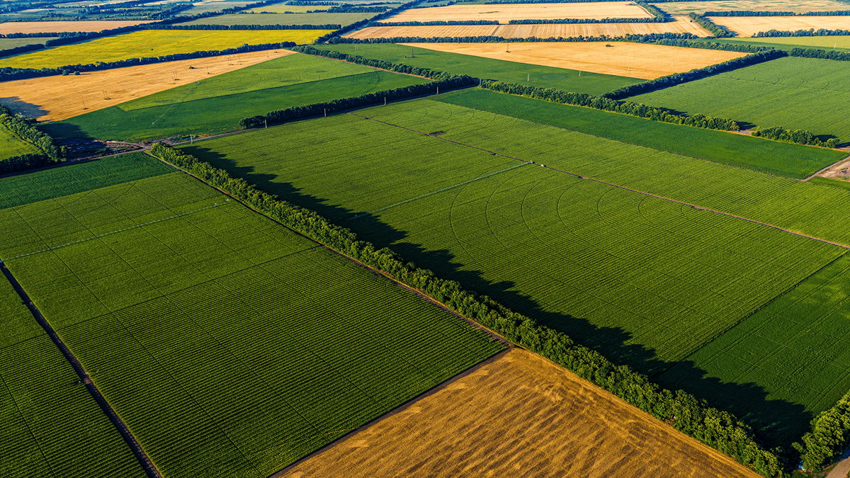 crop production course
