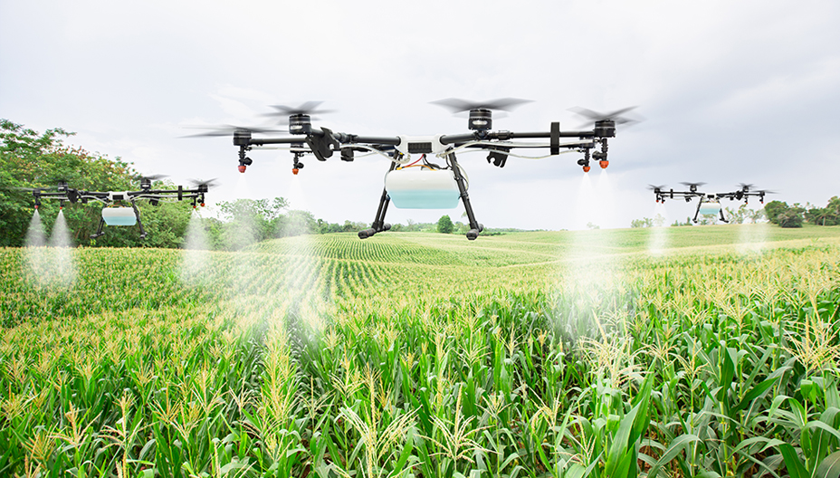 environmentally sustainable farming