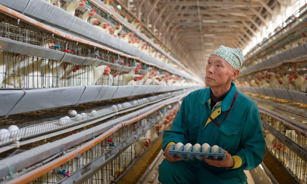 farming courses for beginners