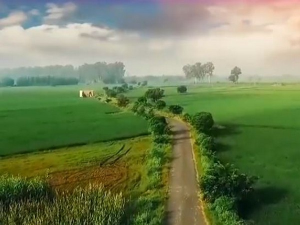 innovative agricultural solutions