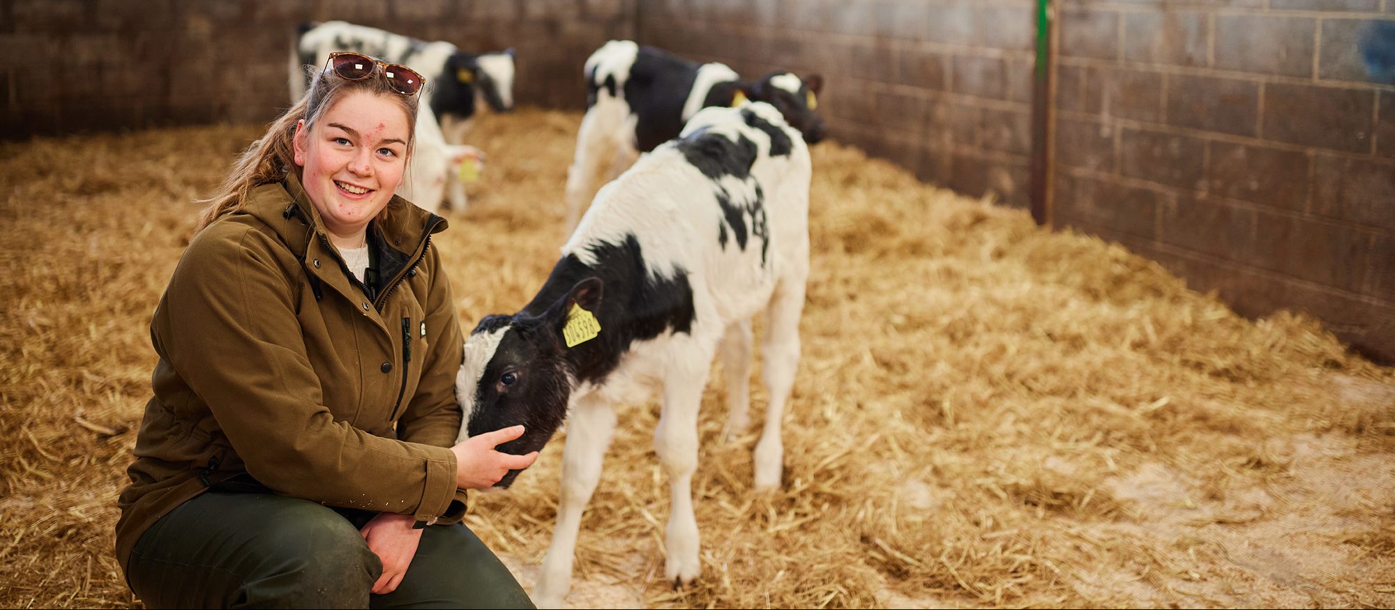 livestock management courses