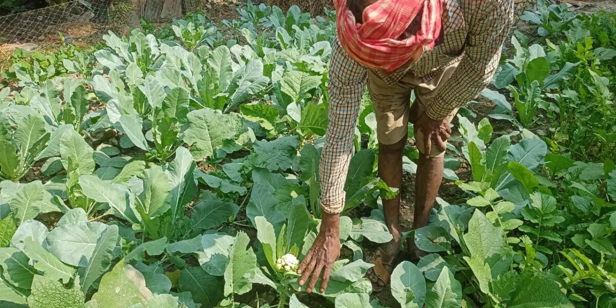 promote sustainable agriculture