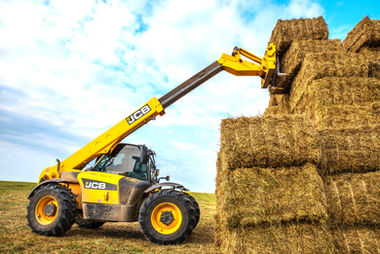 agribusiness training