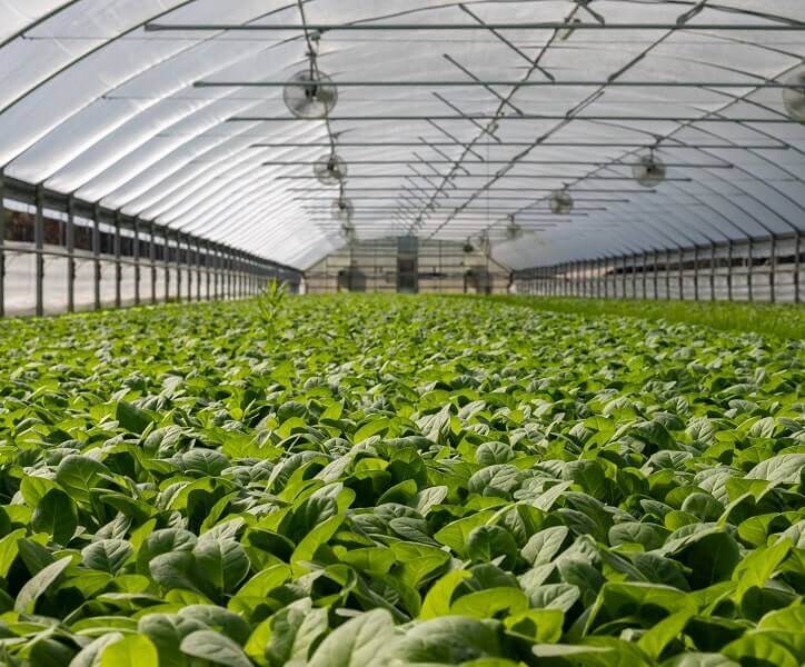 green farming solutions