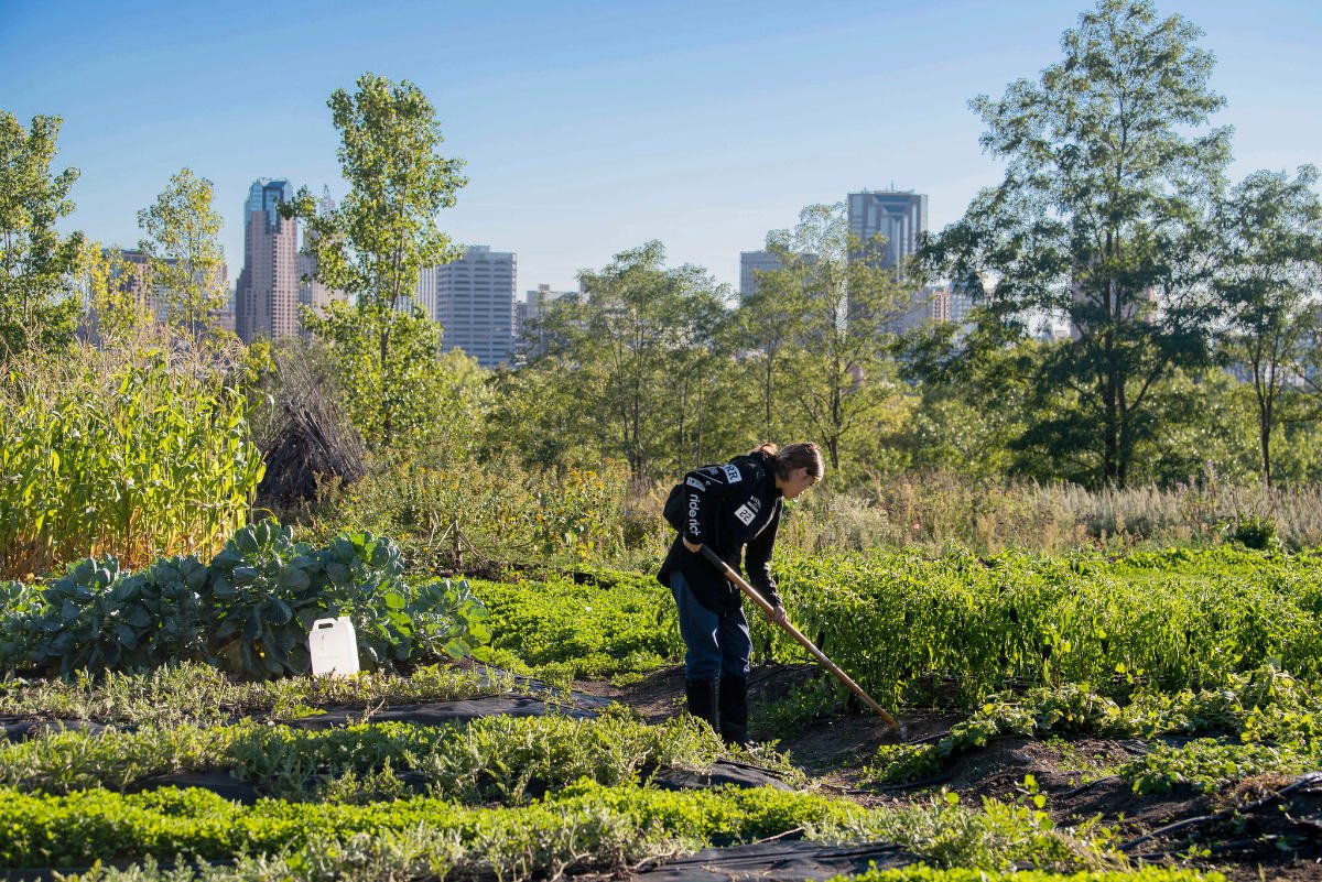 urban agriculture courses