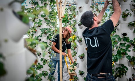 urban farming courses