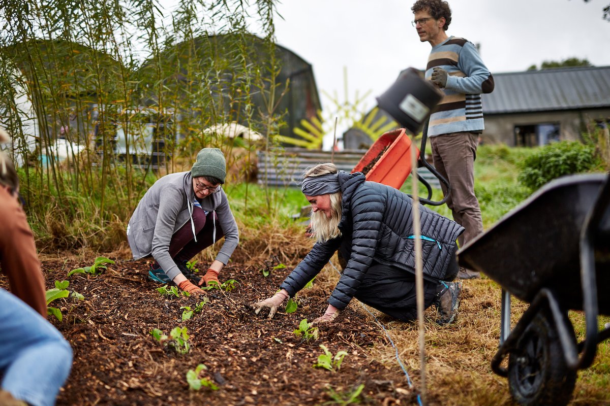 vegetable farming course