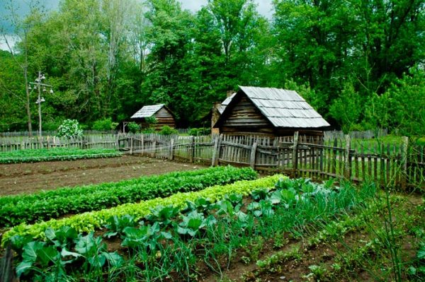 self sufficient farming