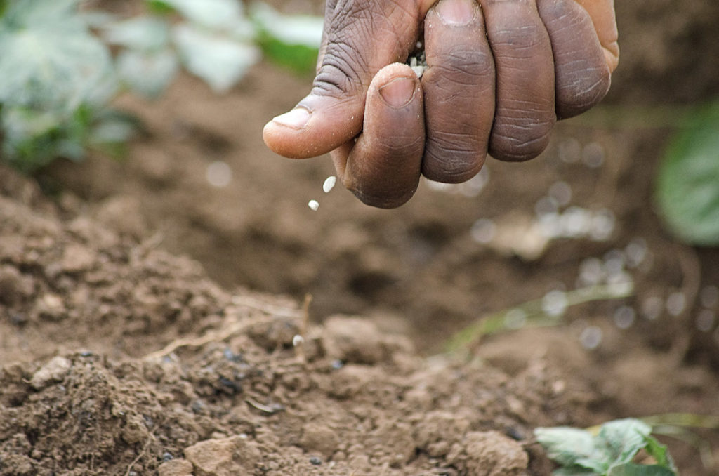 soil fertility management for sustainable development
