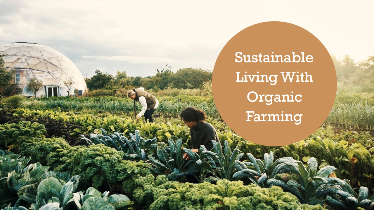sustainability of organic agriculture