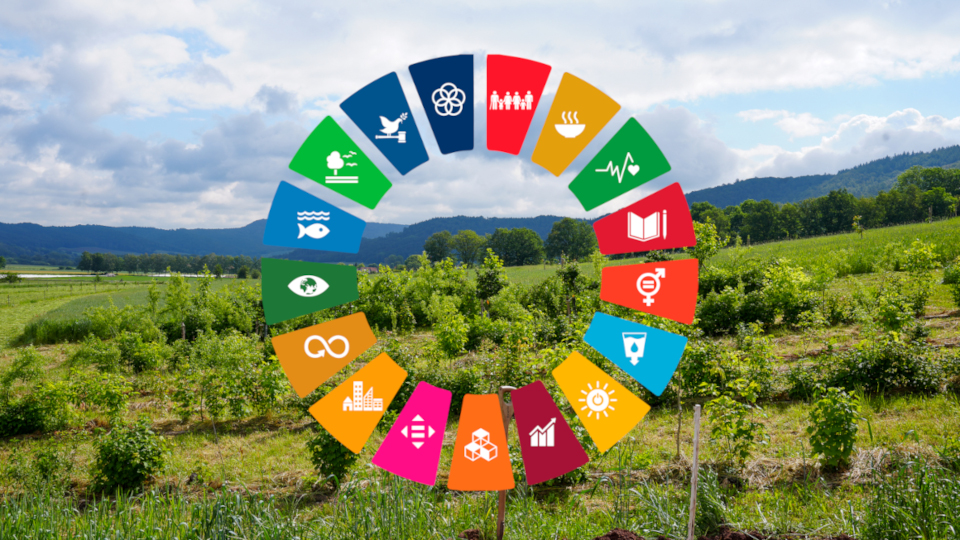 sustainable agriculture for food