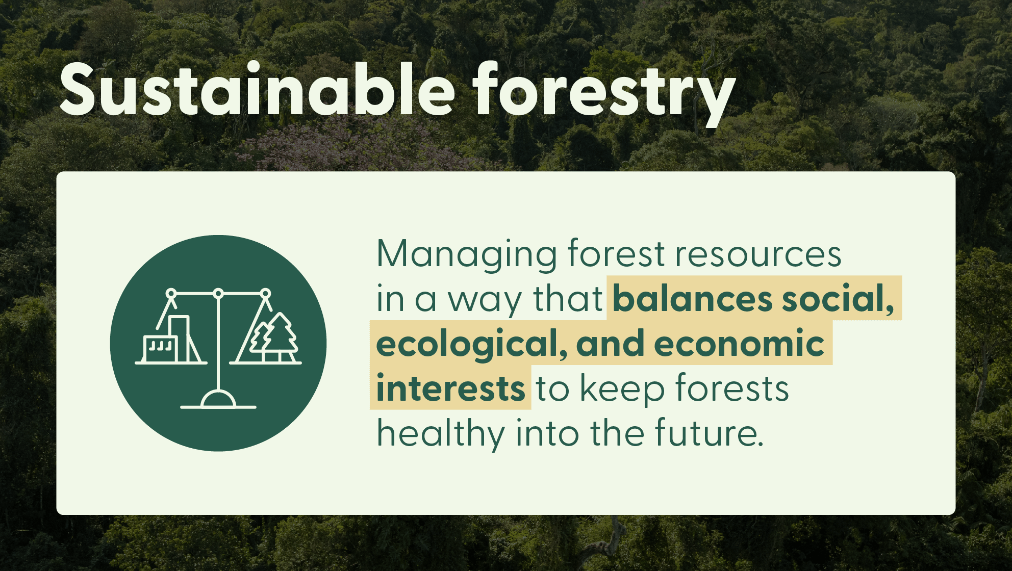 sustainable agriculture & forest management