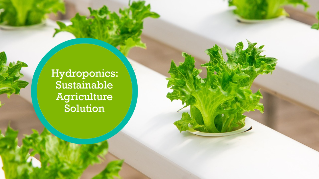 sustainable agriculture solutions