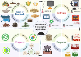 sustainable agriculture types
