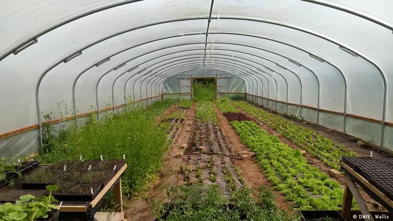 sustainable greenhouse farming