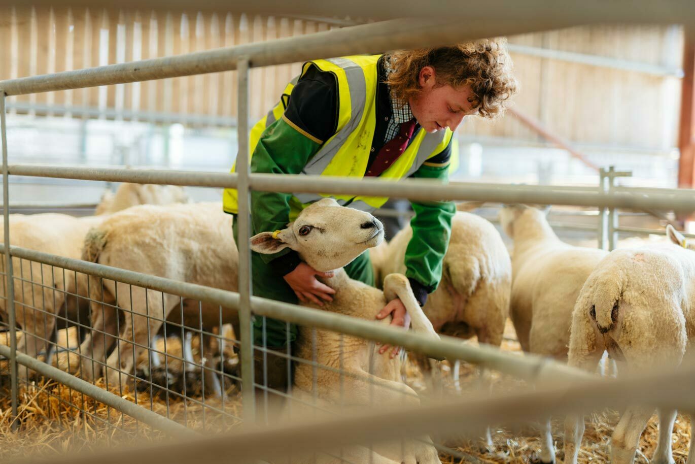 agriculture course