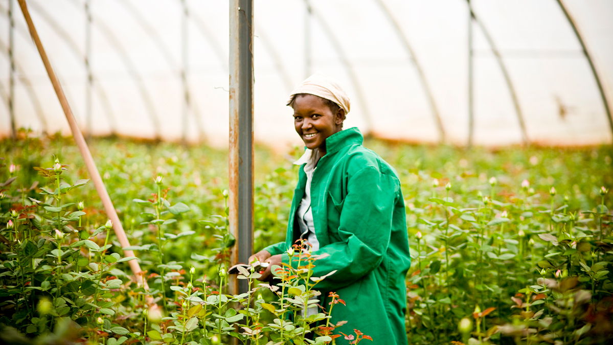 agriculture education courses