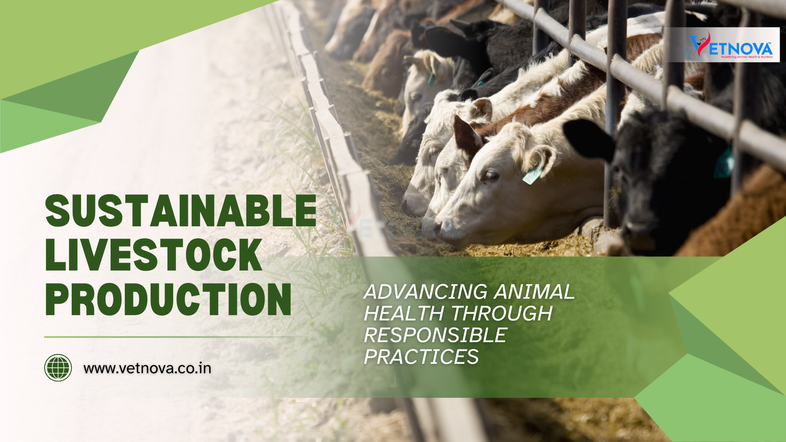 sustainable animal farming practices