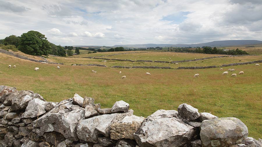 sustainable farming initiative