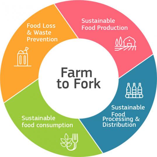 sustainable food and farming