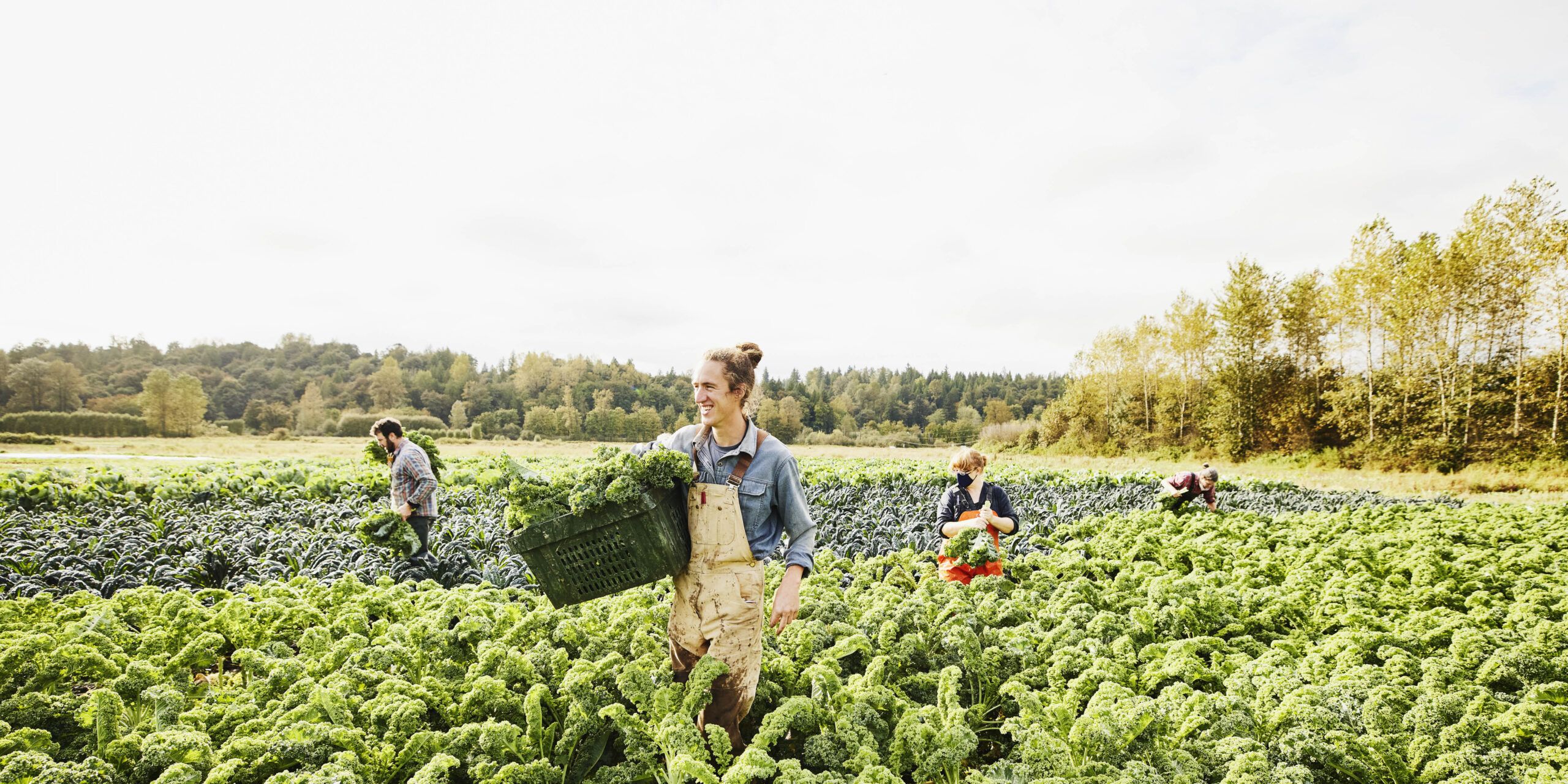 sustainable food farm