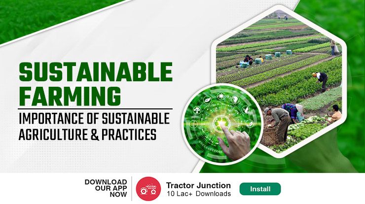 sustainable food production practices