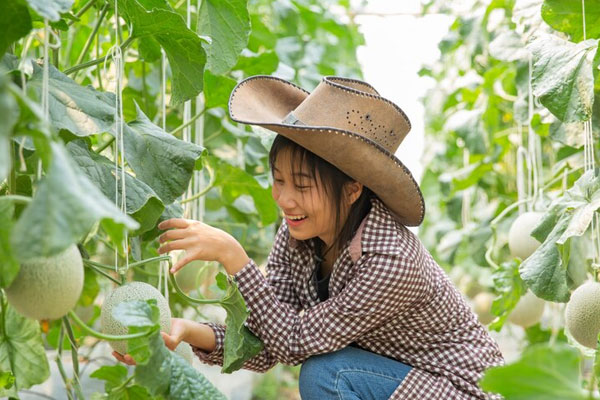 vertical farming is eco friendly