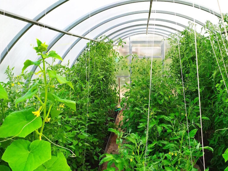 agriculture short courses