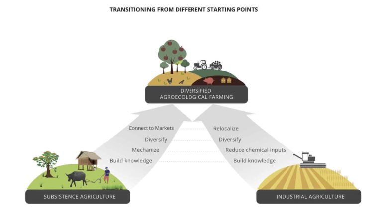 agro ecological farming system