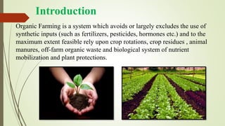 sustainable development organic farming