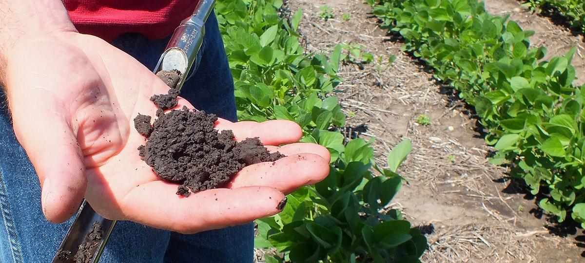 sustainable farming systems