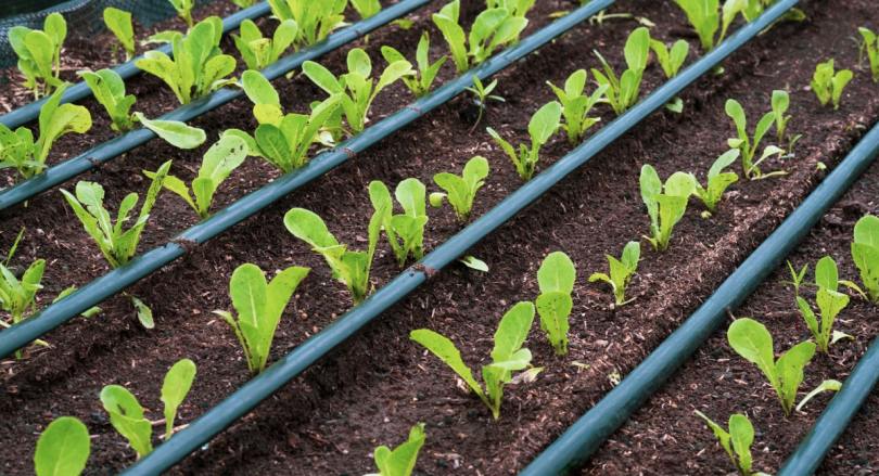 sustainable management of water resources in agriculture