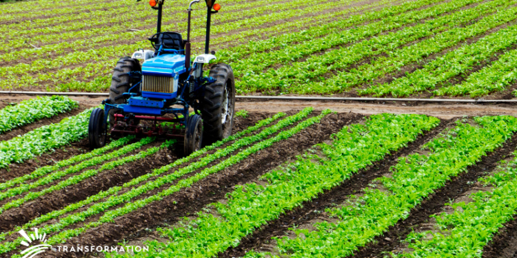 sustainable production in agriculture