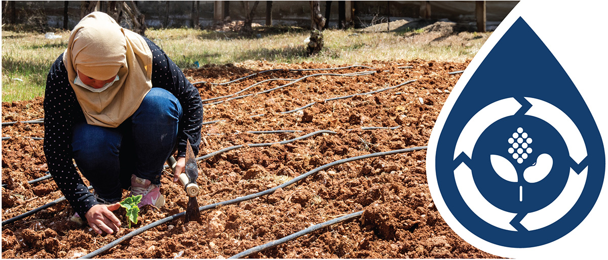sustainable use of water in agriculture