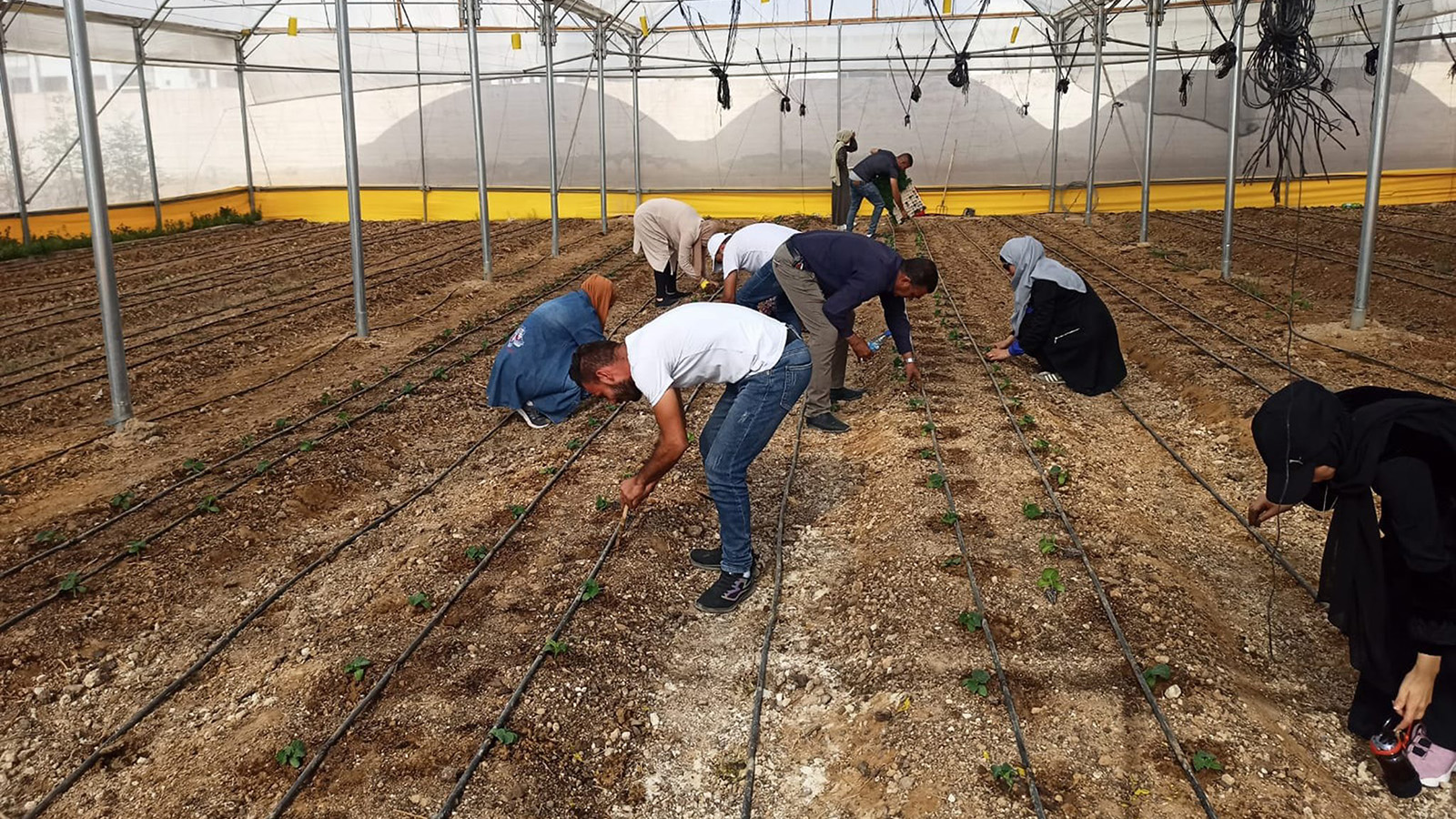 vocational agriculture