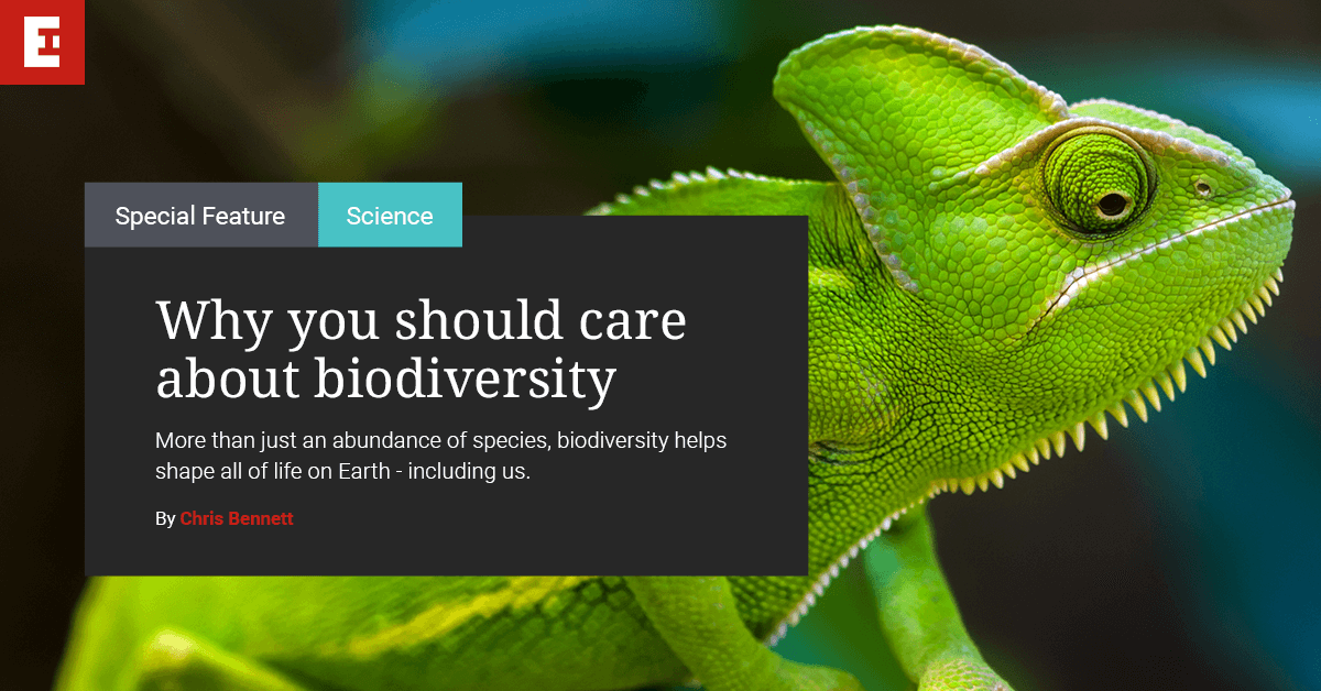 boost the biodiversity we have