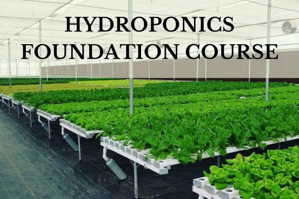 hydroponic farming course online