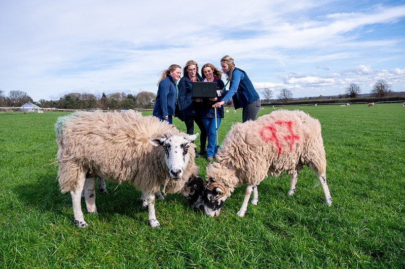 livestock farming courses