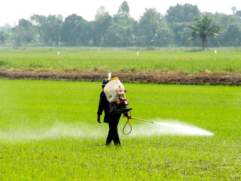 bees can be surprisingly efficient and accurate crop sprayers