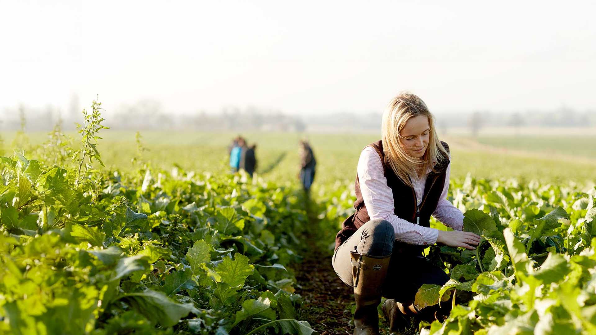 correspondence agriculture courses
