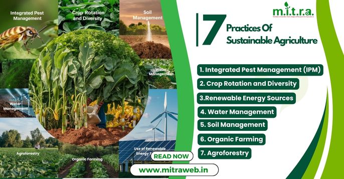 crop management for sustainable agriculture