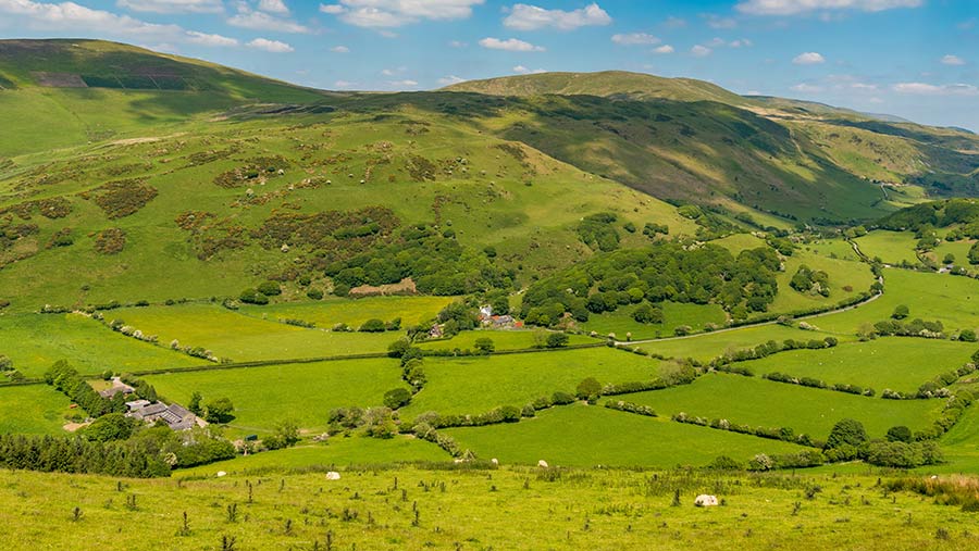 environmental farming