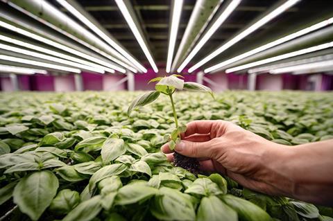 vertical farming agriculture of the future